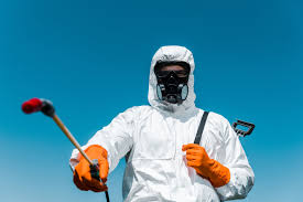 Best Real Estate Pest Inspections  in Rio Verde, AZ